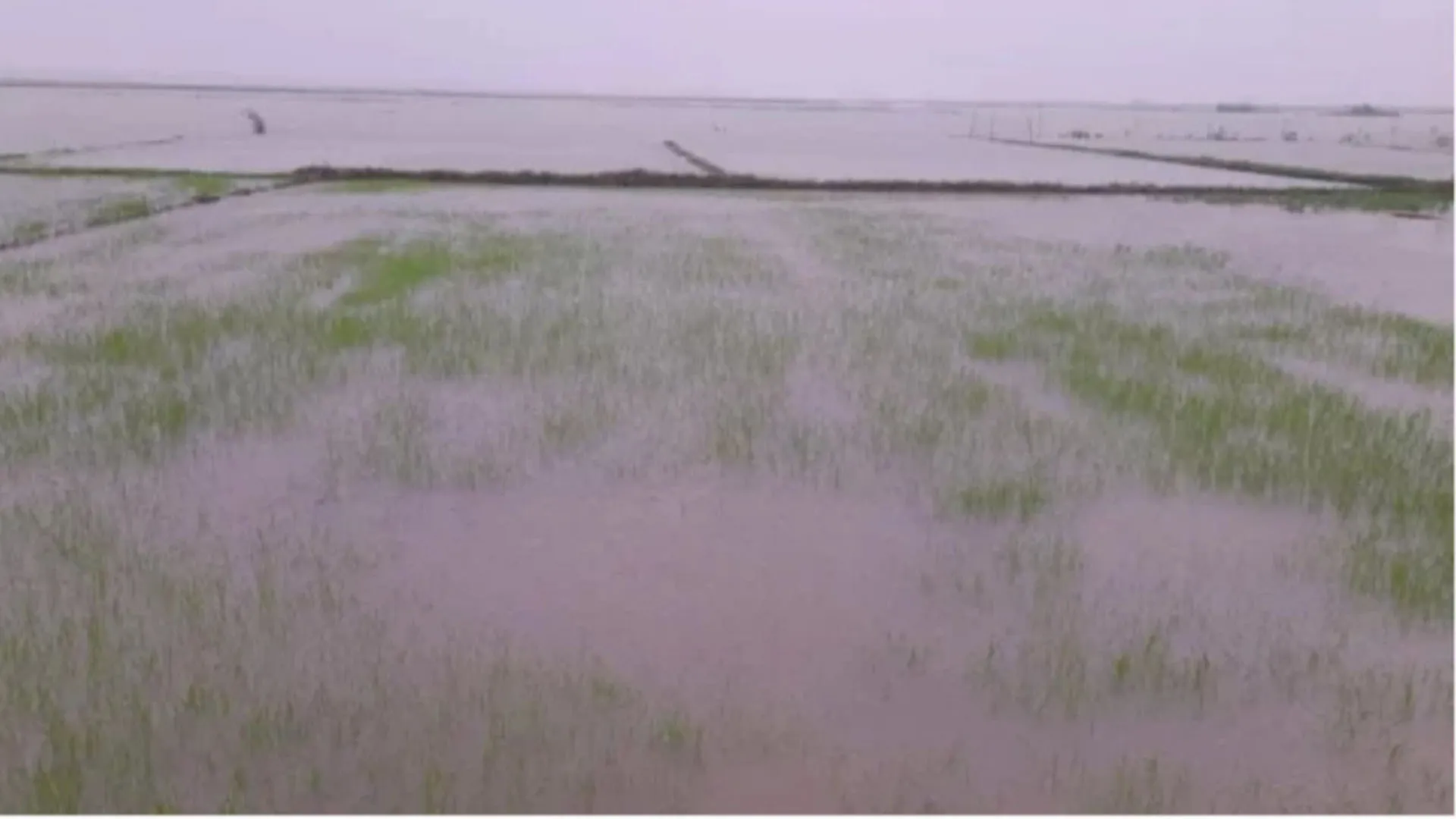 টানা বর্ষণে বাউফলের জনজীবন বিপর্যস্ত